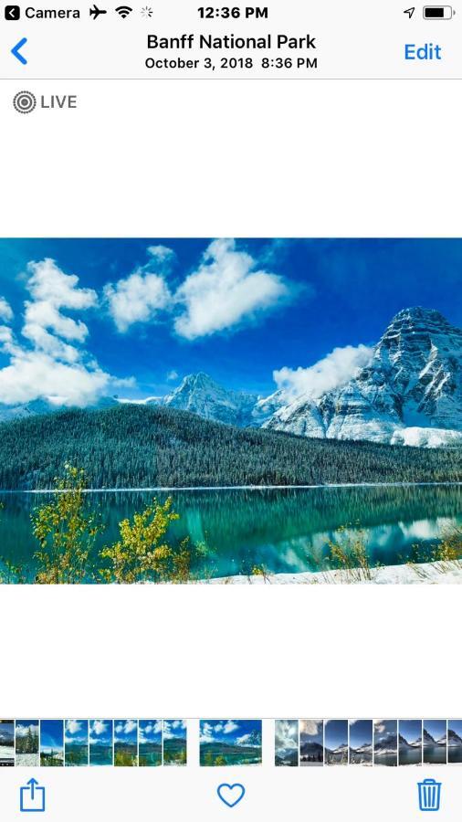 Greenwood Lodge Jasper Eksteriør billede